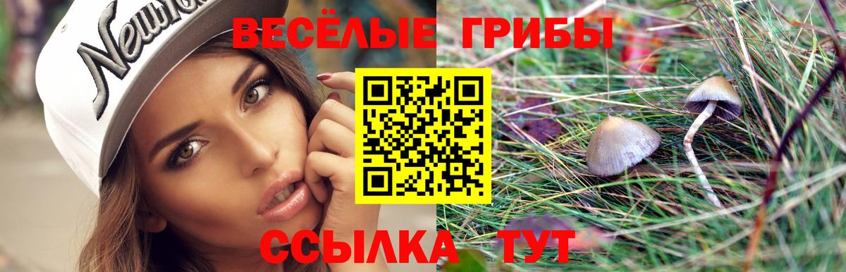 Галлюциногенные грибы мицелий Минусинск